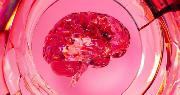 What Is Mental Fitness? Definition, 4 Components, and the Next Frontier