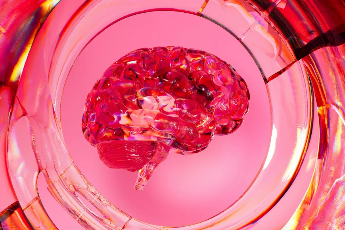 a pink brain in a glass container for what is mental fitness article