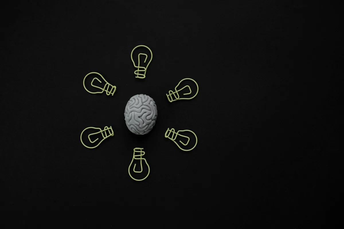 a brain surrounded by paper clips