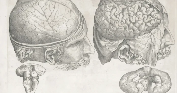 The Real Benefits Of Mental Fitness (And What The Future Of MF Looks Like)
